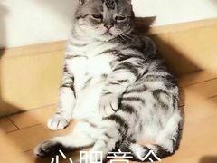 -仟致味手工烘焙旗舰店