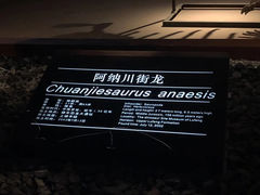 -世界恐龙谷景区