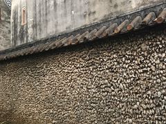 -碧江金楼