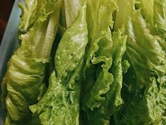 -麻奢鸽农庄·梦里水乡