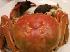 -张生记(丁香国际店)