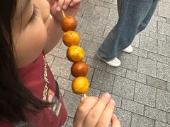 -豪華小食.華記