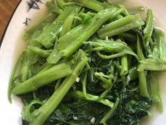 农家青菜-桂缘味道·武夷乡土农家老味道