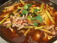 -陈麻婆豆腐总店