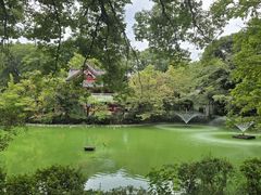 -井之头恩赐公园