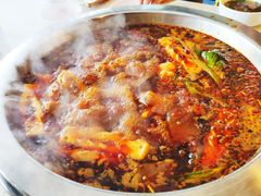 -乡水源火锅(向阳路店)