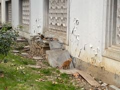 -南京中国近代史遗址博物馆(南京总统府)