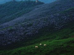 -兰州吐鲁沟国家森林公园