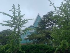-八大关景区