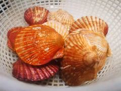-四海蒸鲜蒸汽海鲜自助(北戴河店)