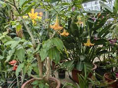 -国家植物园南园