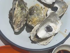 -杨氏青龙虾·羊蝎子(托乐嘉店)