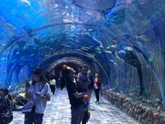 -华夏文旅海洋公园