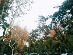 -陕西师范大学(雁塔校区)