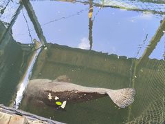 -蓝湾碧波·老字号·疍家非遗海上餐厅