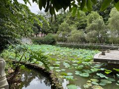 -国恩寺