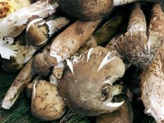 -昆虫窝子·特色云南菜(拓东路总店)