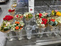 -鹿岛生活(熙地港店)