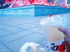 -大唐不夜城贞观广场