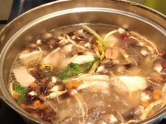 -千岛蚝高压锅生蚝·人参火锅(白云万达店)