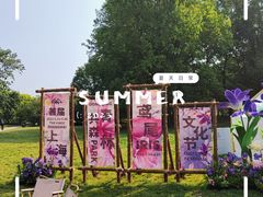 -上海共青森林公园