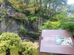 -南山植物园