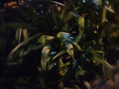 -荔湾博物馆