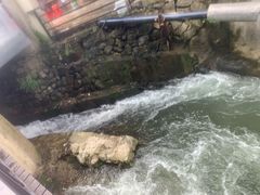 -将军关探险漂流