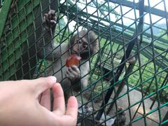 -藏龙百瀑风景区