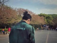 -武汉大学-樱园