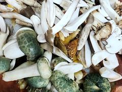 -七采菌园·野生菌石锅鱼(环城北路店)