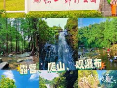 -马峦山郊野公园