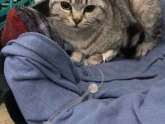 -伟伟宠物医院·CT影像中心·瑞派犬猫综合性门诊(汉口总院)