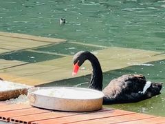 -春晖园度假酒店温泉