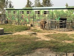 -西安秦岭野生动物园