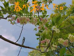 -嘉北郊野公园