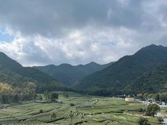 -龙坞茶村