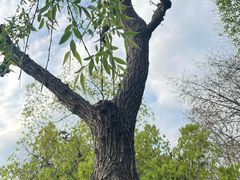 -杭州湖滨银泰in77