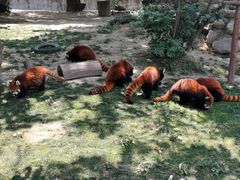 -西安秦岭野生动物园