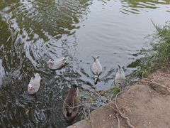 -北京海洋馆