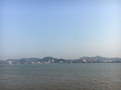 -莲华素食府