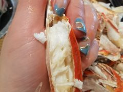 -阳光岛·海鲜盛宴(银泰中心in99店)
