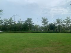 -宝安西湾红树林湿地公园