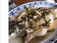 清蒸白水鱼-洞天食府(北大街店)