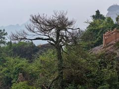 -崀山风景名胜区