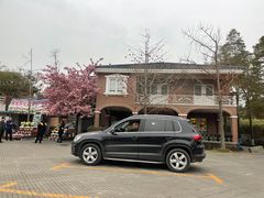 -杭州第一世界大酒店·云曼温泉
