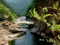 -黑河国家森林公园