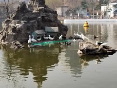 -团结湖公园