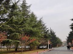 -河南省黄河迎宾馆