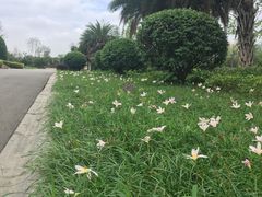 -府河摄影公园